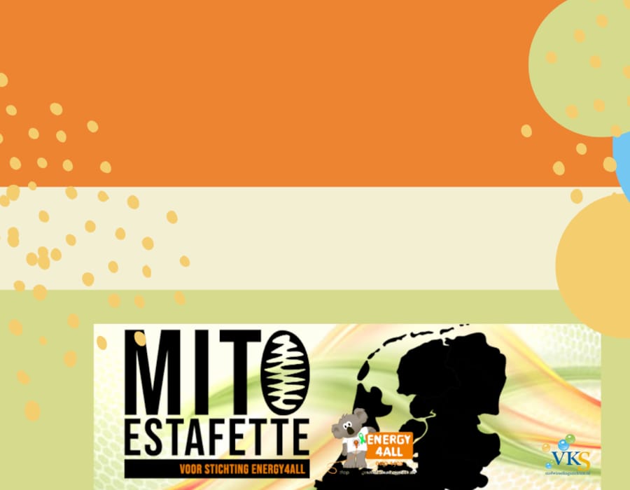 MITO estafette van Energy4all